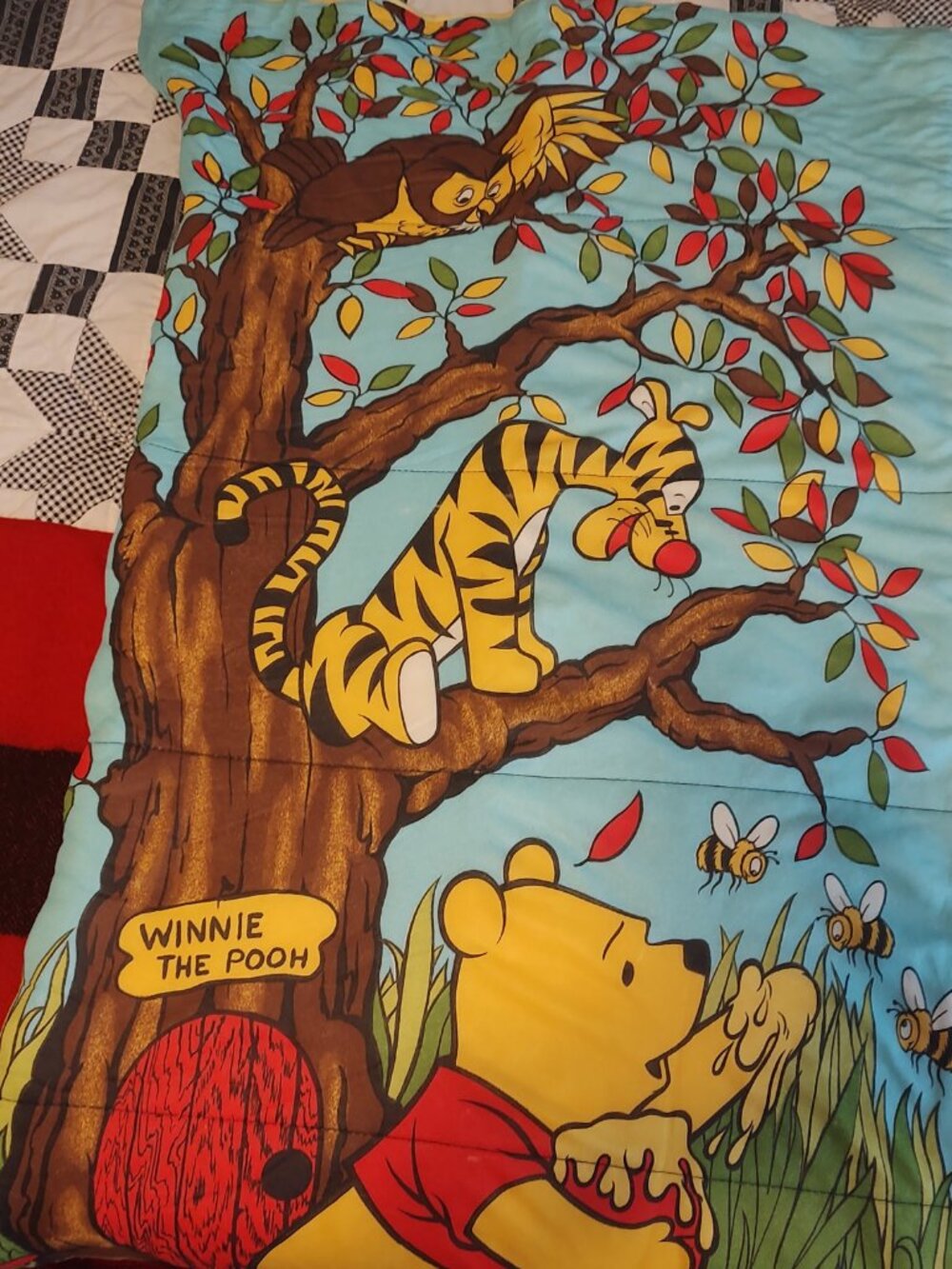 Vintage Winnie the Pooh sleeping bag